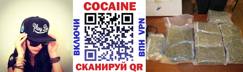 COCAIN Columbia Грязовец