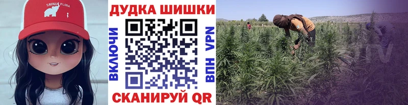 Бошки марихуана гибрид  Купить где  Грязовец 